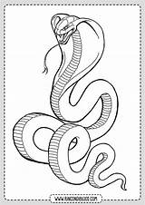 Serpiente Colorear Serpientes Rincon Rincondibujos sketch template