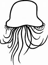Jellyfish Coloring Tail Wecoloringpage sketch template