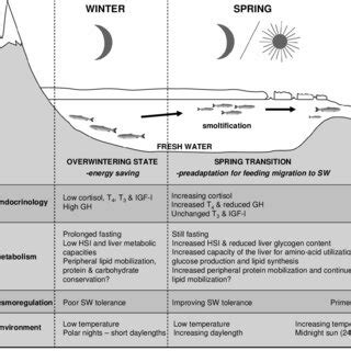 schematized diagram showing  proposed seasonal pattern     scientific