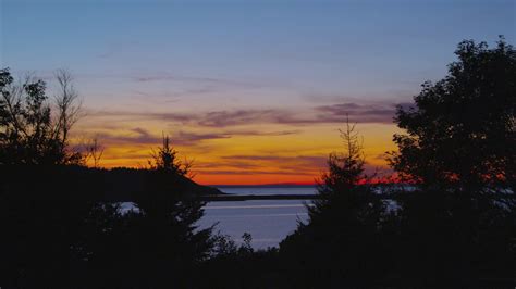 beautiful sunset  nova scotia bay  trees stock video footage  sbv