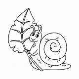 Snail Bugs Slugs Shell Caracol 30seconds Spiral Aislada Vectorial Iconos Sosteniendo Linda sketch template