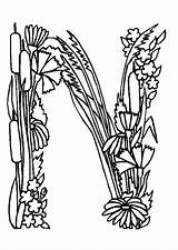 Alfabeto Lettre Fleur Hugolescargot Jardin Partager sketch template