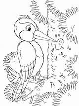 Coloring Pages Woodpecker Birds Recommended Woodpeckers Color sketch template