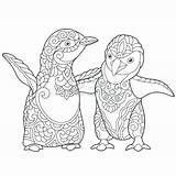Puffin Coloring Pages Getcolorings Printable Getdrawings sketch template