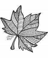 Zentangle Coloring Mandala Fall Printable Leaf Doodle Mandalas Kolorowanki Pages Otoño Para Drawing Fulla Dibujos Colorear Dibujo Buch Dolors Automne sketch template