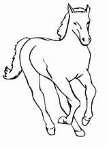 Horse Coloring Pages Printable Kids Animals Pony Land Drawing Trailer Baby Head Miniature Racing Drawings Race Realistic Clipart Color Colouring sketch template