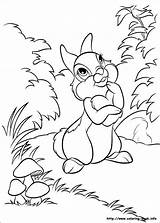 Coloring Pages Disney Book Bunnies Info Color Kids sketch template