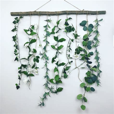 hanging vine plants plants bx