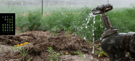 os benefícios do aproveitamento de Água da chuva em larga