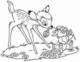Disney Bambi Coloring Pages Walt Thumper Fanpop Characters sketch template