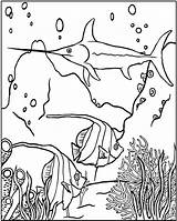 Coloring Pages Underwater Ocean Life Scene Drawing Getdrawings Printable Print Color Getcolorings sketch template