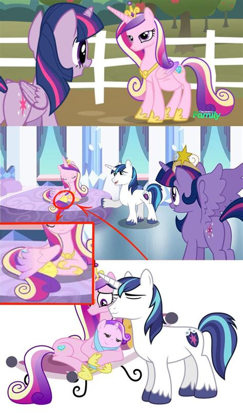 Should Cadence And Shining Armour Have A Foal In Season 5