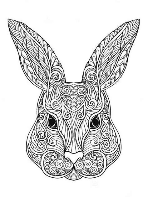 rabbit coloring pages  adults