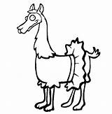 Llama Coloring Pages Color Animal Lama Print Back sketch template