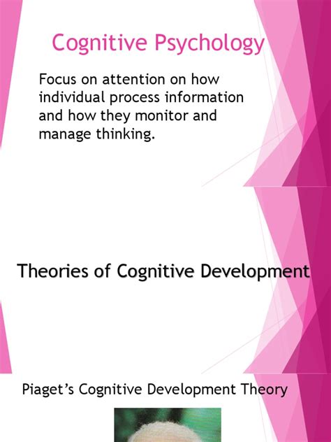 cognitive psychology schema psychology cognitive development