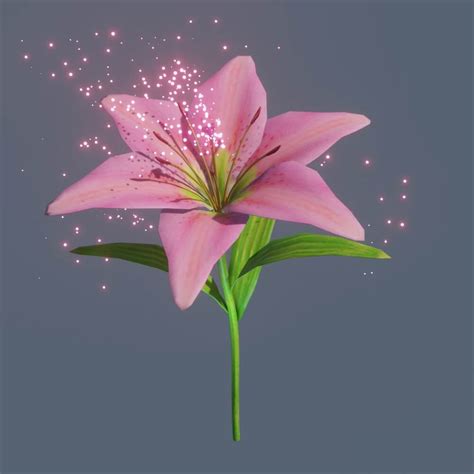animated lily flowers  model  petar doychev