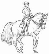Dressage Horse Coloring Pages Drawing Drawings Rocks Printable Horses Show Template Jumping Sketch Cool Equestrian Outline Animal Paint Visit Read sketch template