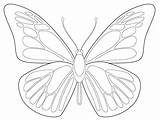 Butterfly Wings Coloring Pages Getdrawings sketch template