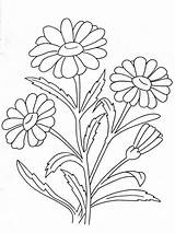 Flower Coloring Pages Chamomile Flowers Printable Outline Drawing Embroidery цветы Line Recommended Designs Kids Print Choose Color Board sketch template