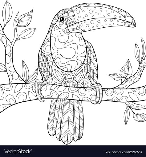 adult coloring bookpage  cute toucan   vector image