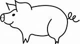 Clipart Schwein Pixabay Piggy Cerdo Schweinchen Ferkel Schweine Openclipart Pahlen Suini Kostenlose Cerdos Maiale Weiß Pinclipart Piglet Sombreros Transparente Vektorgrafiken sketch template