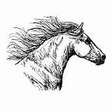 Paarden Paardenhoofd Volwassenen Paard Kleurplatenpagina Leukvoorkids Printen Coole Boordevol sketch template