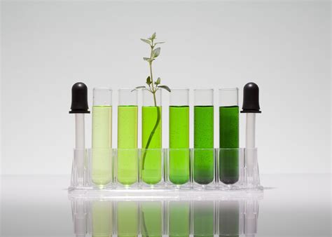 real world green chemistry examples