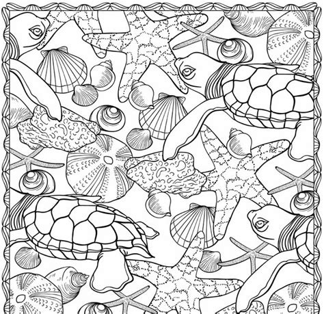 coloring pages underwater animals  coloring page