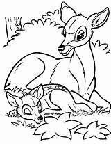 Bambi Coloring Pages Disney Colouring Printable sketch template