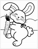 Rabbit Coloring Kids Pages Print Simple sketch template