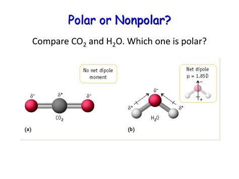 pcl polar  nonpolar  sf consided polar  nonpolar quora