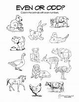 Odd Even Worksheets Numbers Number Coloring Worksheet Pages Color Esl Printable Animals Kids Getcolorings Via Activityshelter Squareheadteachers Activity sketch template