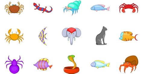 exemplos de animais invertebrados e vertebrados novo exemplo