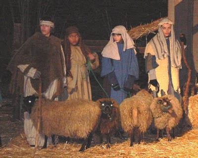 musings  ramblings   shepherd phd december