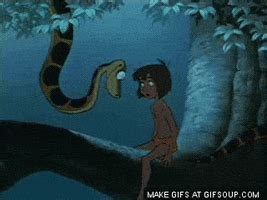 kaa  mowgli gifs find share  giphy