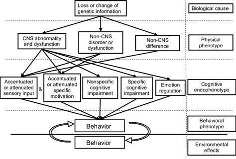 diagrammatic model   general case  identifying levels