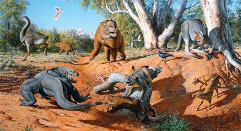 dragons tales  evidence   australian pleistocene