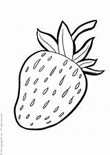 Fructe Tipareste Colorat sketch template