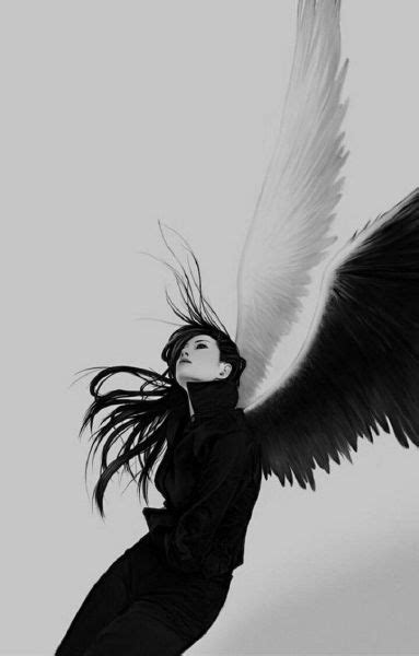 no angel [angels of death x fem reader] [slow updates]