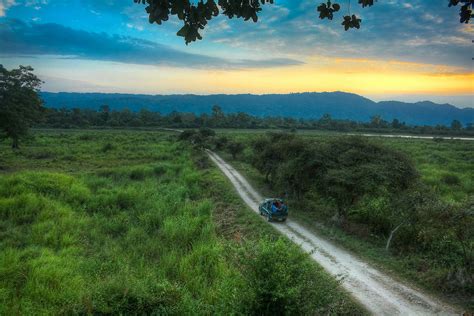 9 Best And Famous Honeymoon Places In Assam With Images