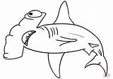 Shark Hammerhead Skull Coloring Template Pages sketch template