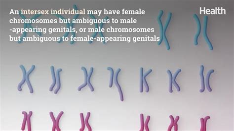 What Is Intersex Heres What The Term Means And How It Can Appear