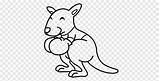 Coloring Kangaroo sketch template