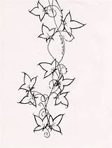 Ivy Vine Poison Vines Efeu Edera Vorlagen sketch template