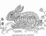 Rabbit Zentangle Raster Panchenko Viktoriia Hare sketch template