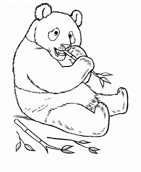giant panda coloring pages coloring home