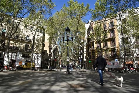 el poblenou neighborhood guide barcelona navigator