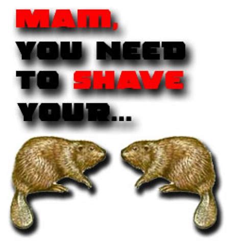 shave your beaver gamebanana sprays