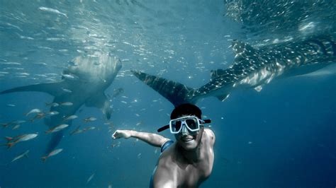 Snorkel Underwater Swim And Diving 4k Hd Wallpaper