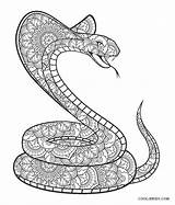 Schlange Schlangen Python Snakes Drucken Reptiles Ausdrucken Cool2bkids Malvorlagen sketch template